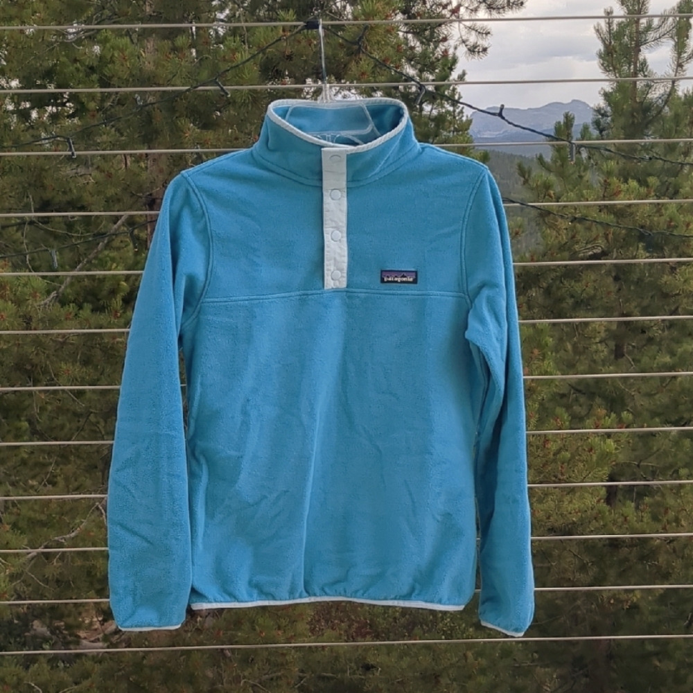 Patagonia Micro-d Blue Fleece Pullover